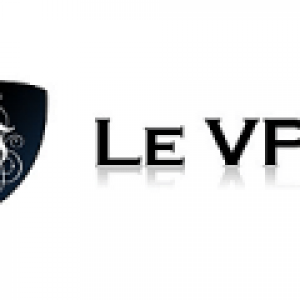 Logo Levpn E1584688014650.png