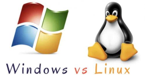 comparaison windows et linux vps