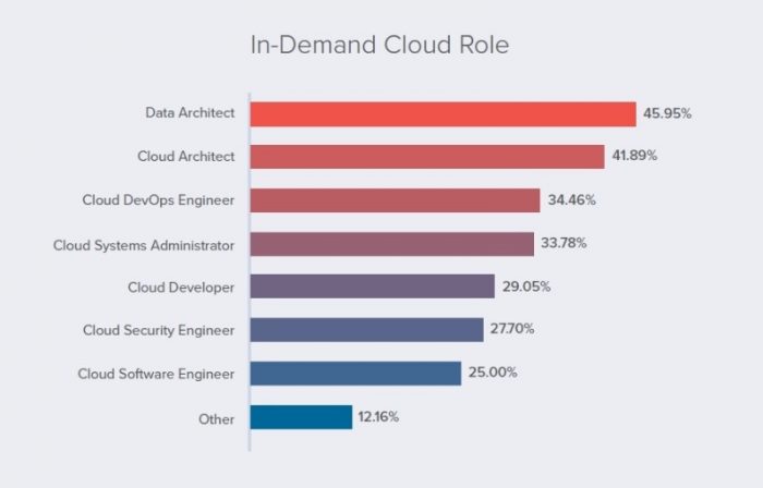 in demand cloud role